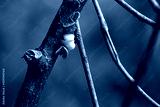 preview cold