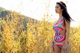 preview original