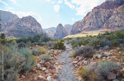 image to crop