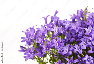 image to crop