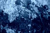 preview cold