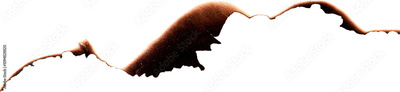 image to crop