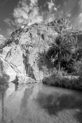 preview bw