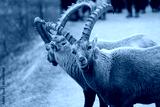 preview cold