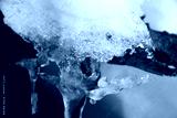 preview cold