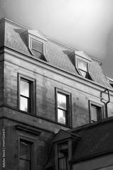 preview bw