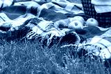 preview cold