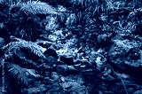 preview cold