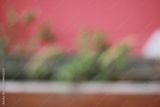 preview original