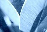 preview cold