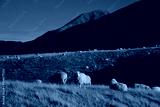 preview cold