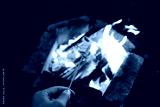 preview cold