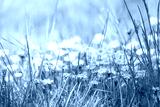 preview cold