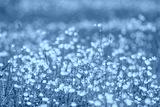 preview cold