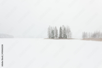 image to crop