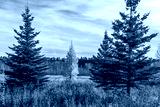 preview cold