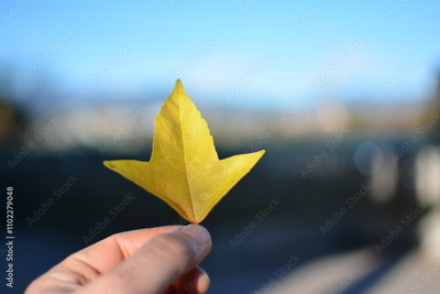 image to crop