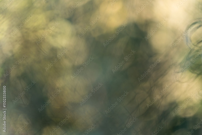 image to crop