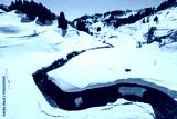 preview cold