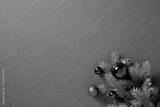 preview bw