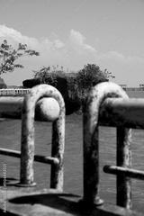 preview bw