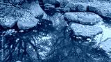 preview cold