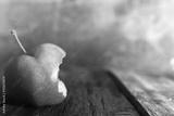 preview bw