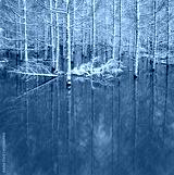 preview cold