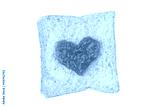 preview cold