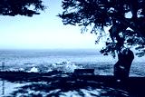 preview cold