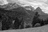 preview bw