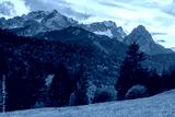 preview cold