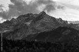 preview bw