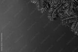 preview bw