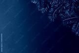 preview cold
