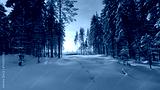 preview cold