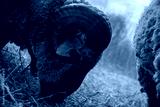 preview cold