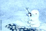 preview cold