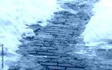 preview cold