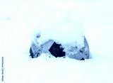 preview cold