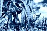 preview cold