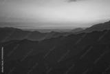 preview bw