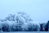 preview cold