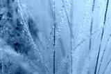 preview cold