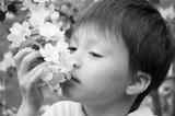 preview bw