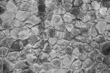 preview bw