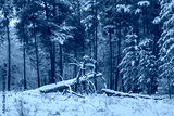 preview cold