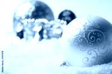 preview cold