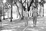 preview bw