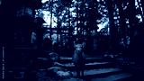 preview cold